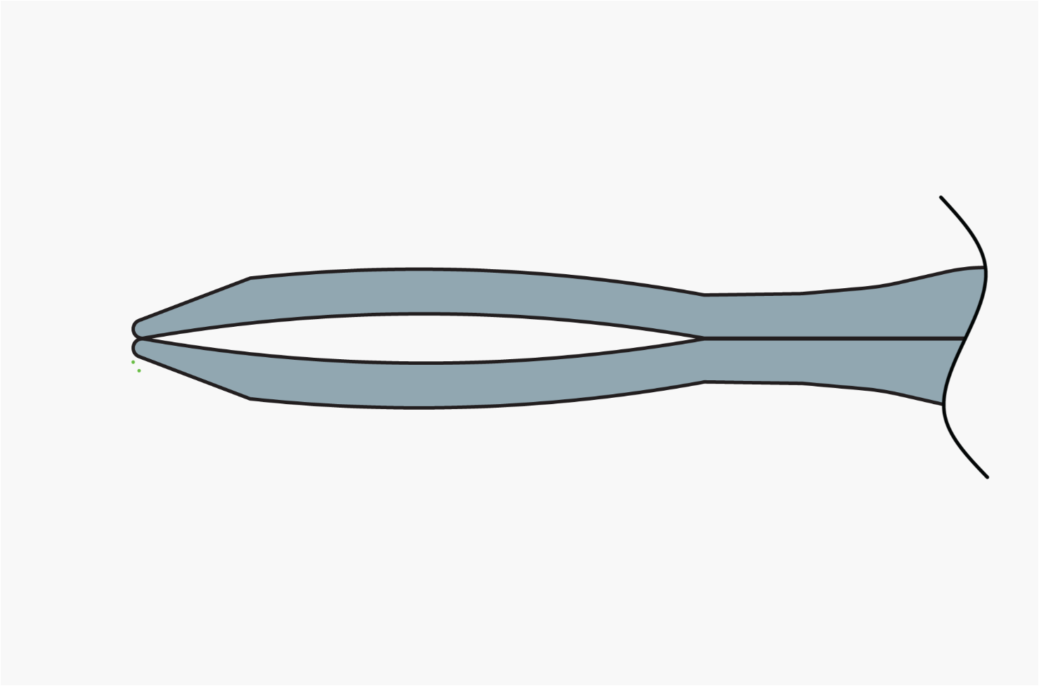 DK7740E IOL Insertion Forceps - Image 4