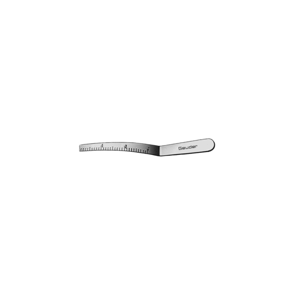 G18645 Giessen Model Ruler