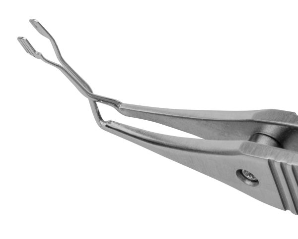 PH2001 Ernest Micro Nucleus Cracker