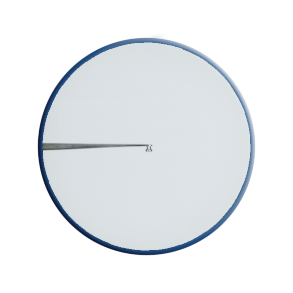 PH1730 Graether Collar Button