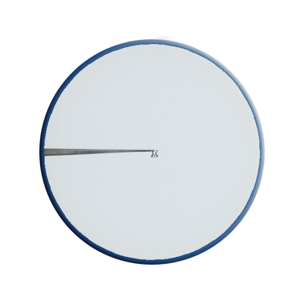 PH1730 Graether Collar Button