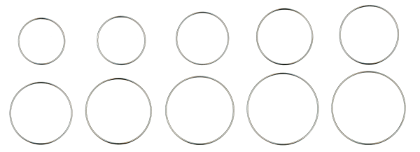 PH2190 Flieringa Scleral Fixation Ring Set