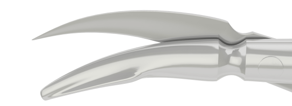11-134 Holland Spatulated DALK Scissors Right