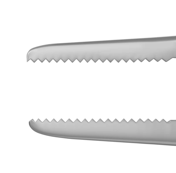 4-0740S Adson Dressing Forceps
