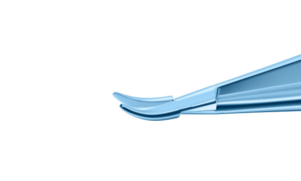 8-031T Barraquer Needle Holder Curved Standard No Lock 12mm