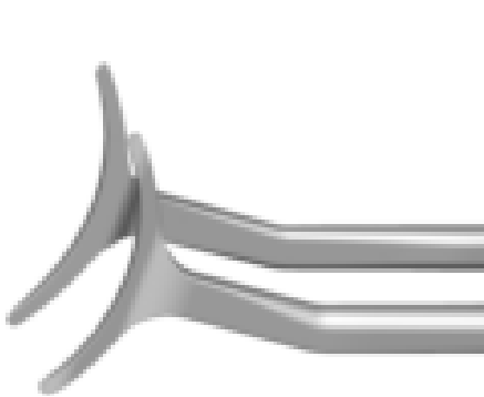 G38628 Yoruk DMEK Transplant Forceps 6mm